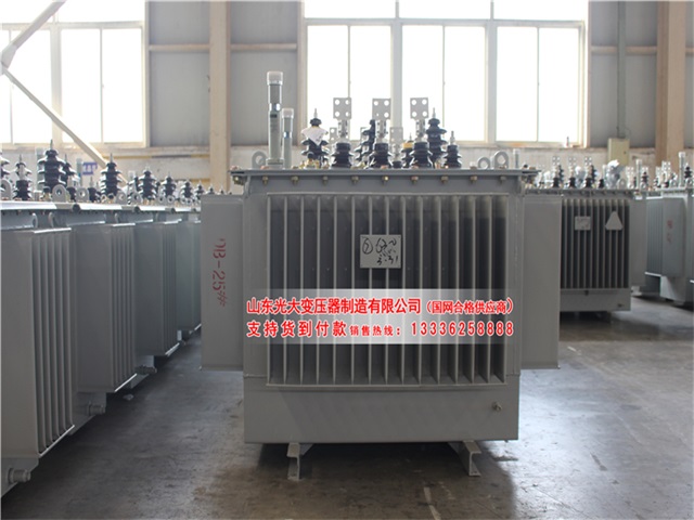 邵阳S22-4000KVA油浸式变压器