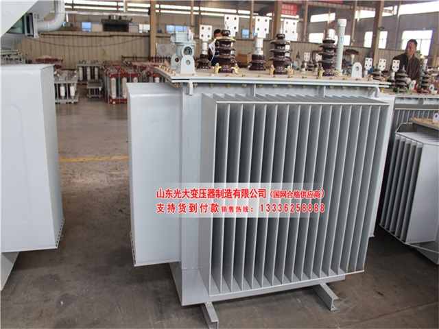 邵阳S20-5000KVA油浸式电力变压器