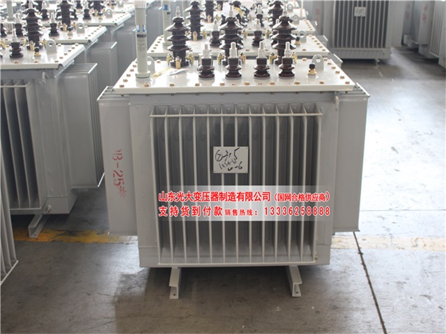 邵阳S11-6300KVA油浸式变压器